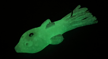 Load image into Gallery viewer, Globy - 4" Goby Tube Jig - Glow in the Dark & LED Light!