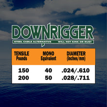 Load image into Gallery viewer, Downrigger Braid