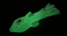 Load image into Gallery viewer, Globy - 4&quot; Goby Tube Jig - Glow in the Dark &amp; LED Light!